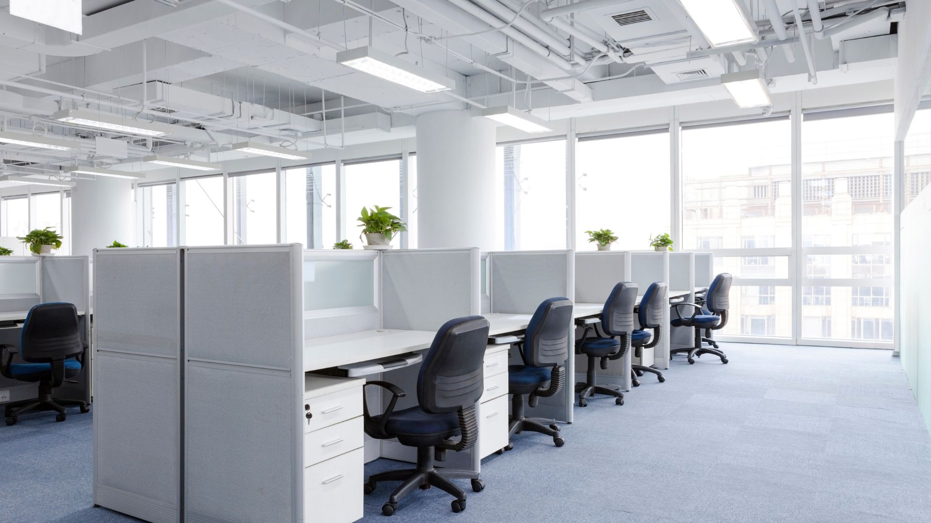 Limpieza de oficinas